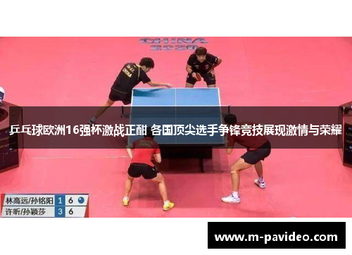 乒乓球欧洲16强杯激战正酣 各国顶尖选手争锋竞技展现激情与荣耀