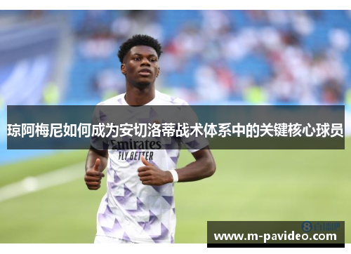 琼阿梅尼如何成为安切洛蒂战术体系中的关键核心球员