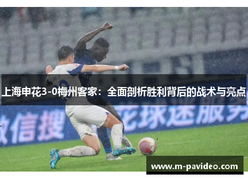上海申花3-0梅州客家：全面剖析胜利背后的战术与亮点