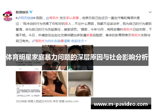 体育明星家庭暴力问题的深层原因与社会影响分析