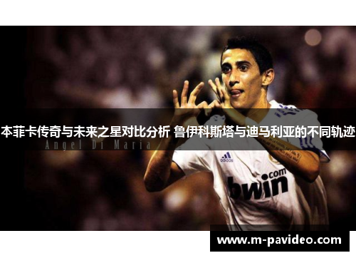本菲卡传奇与未来之星对比分析 鲁伊科斯塔与迪马利亚的不同轨迹