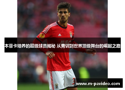 本菲卡培养的超级球员揭秘 从青训到世界顶级舞台的崛起之路