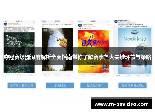 夺冠赛级别深度解析全面指南带你了解赛事各大关键环节与策略