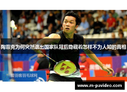 陶菲克为何突然退出国家队背后隐藏着怎样不为人知的真相