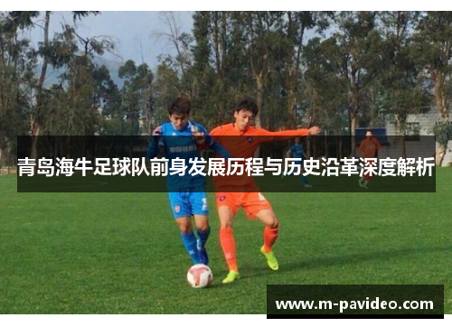 青岛海牛足球队前身发展历程与历史沿革深度解析 青岛海牛足球队前身发展历程与历史沿革深度解析