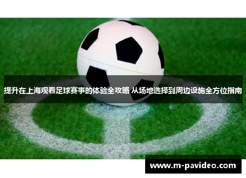 提升在上海观看足球赛事的体验全攻略 从场地选择到周边设施全方位指南