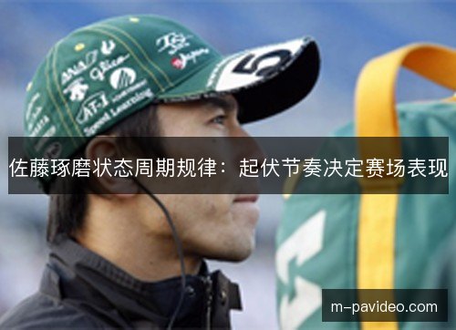 佐藤琢磨状态周期规律：起伏节奏决定赛场表现